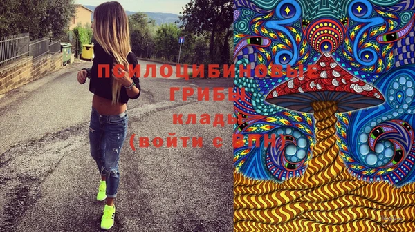 крисы Алексин