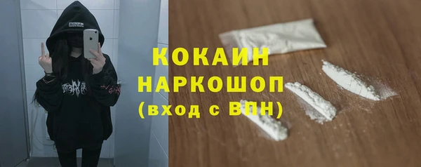 крисы Алексин