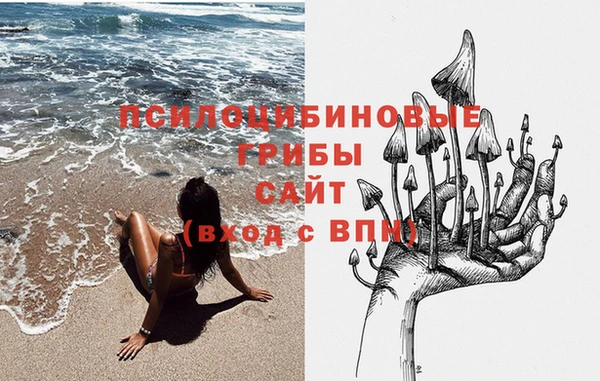 трава Алзамай