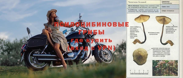 трава Алзамай