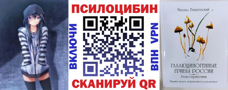 Галлюциногенные грибы Psilocybine cubensis  Кыштым 